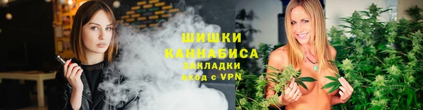 таблы Бородино