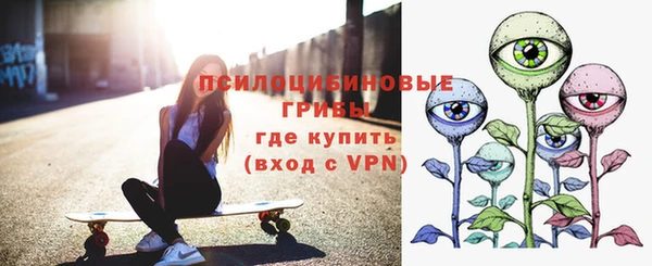 не бодяженный Богородицк