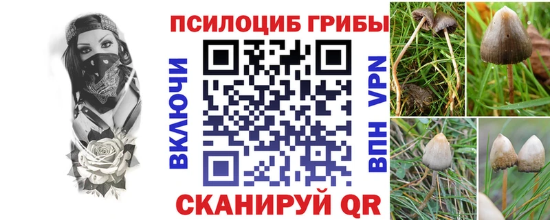 купить закладку ссылка на мегу зеркало Псилоцибиновые грибы ЛСД Дедовск